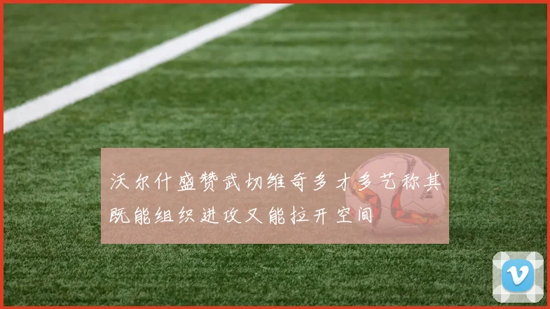 沃尔什盛赞武切维奇多才多艺称其既能组织进攻又能拉开空间