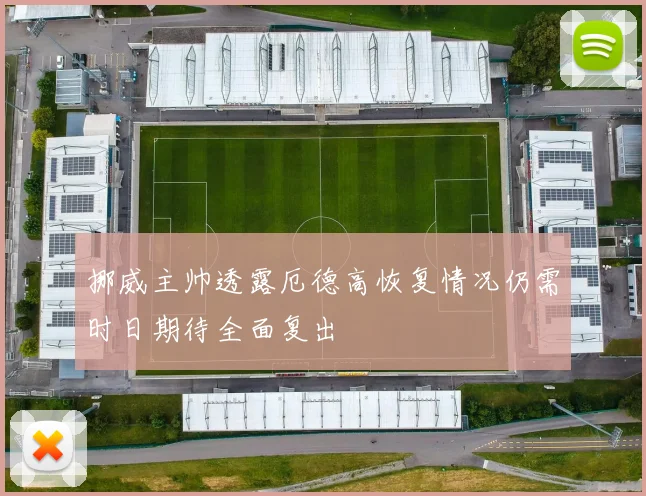 挪威主帅透露厄德高恢复情况仍需时日期待全面复出