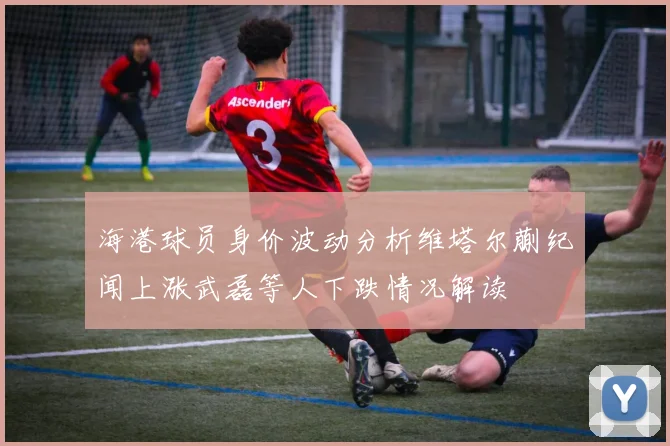 海港球员身价波动分析维塔尔蒯纪闻上涨武磊等人下跌情况解读